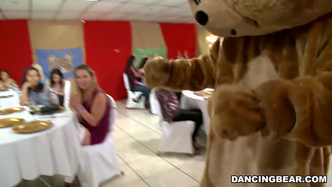 Rejoignez Les Festivités Du Célèbre Dancing Bear Pour Une Expérience Inoubliable!